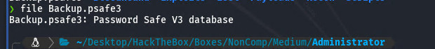 PasswordSafe File